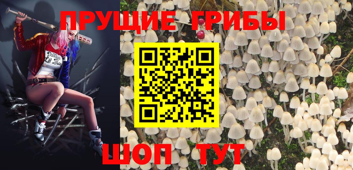 Псилоцибиновые грибы прущие грибы Балашов